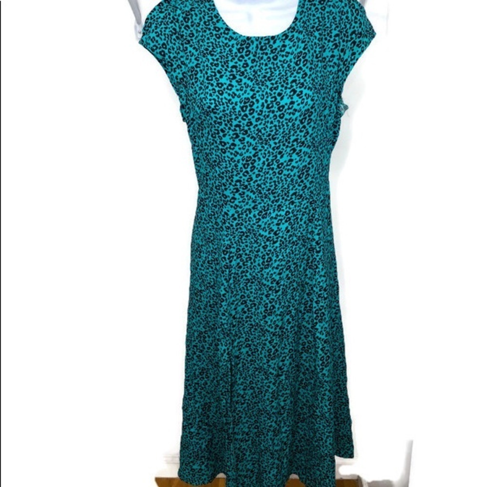 Francesca’s NWOT midi dress
